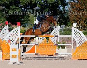 Paini Ottava Meraviglia GioCav2013 S5 4663 : Horses, Ottava Meraviglia, Paini Paolo, ph Stefano Secchi ©